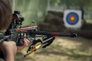 Category M Weapons (Crossbows) (QLD)